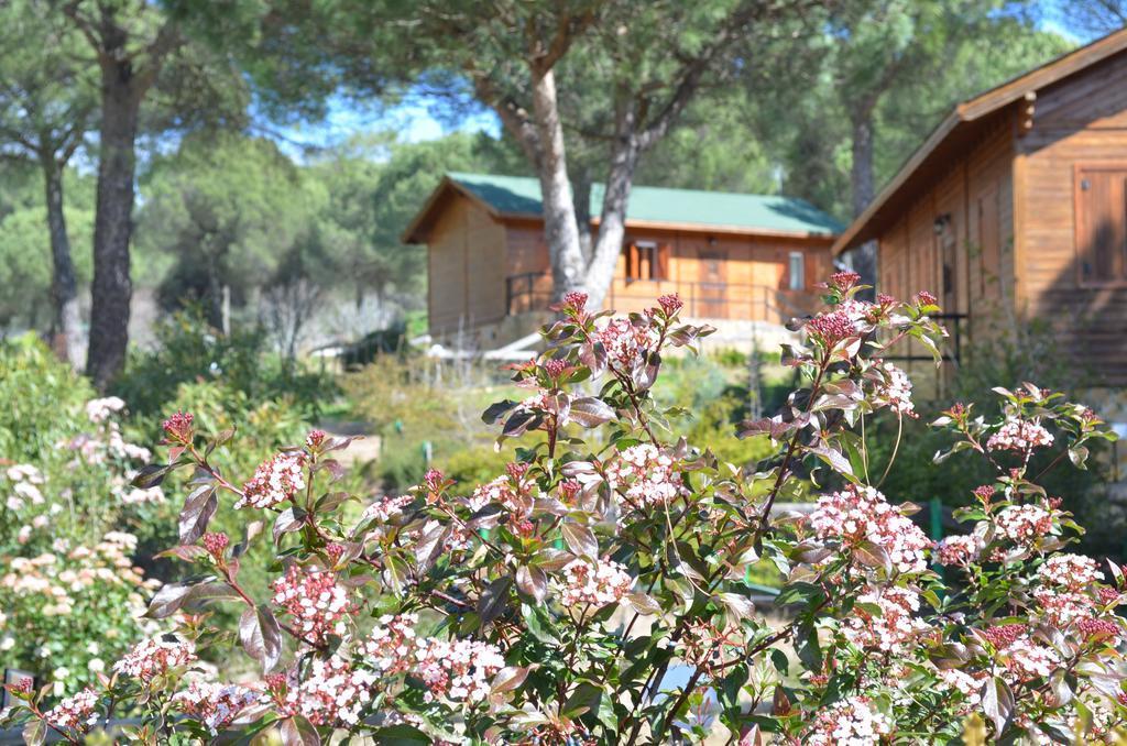 Apartamentos Paraje San Gines Андухар Экстерьер фото